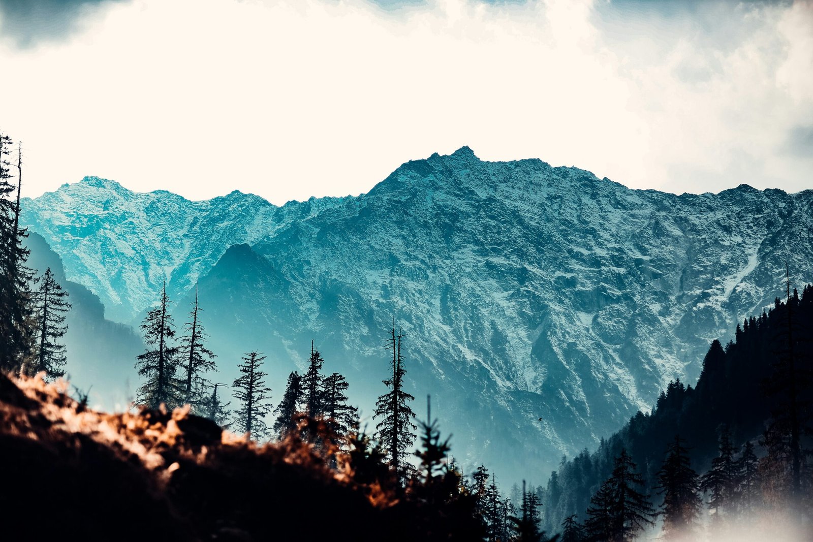 Delhi to Dharamshala Taxi Service